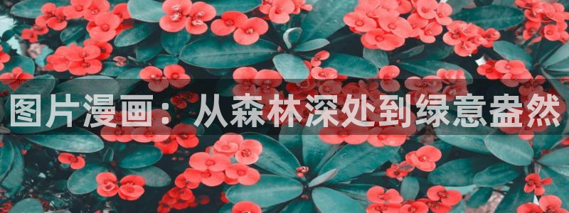 51漫画在线免费看
